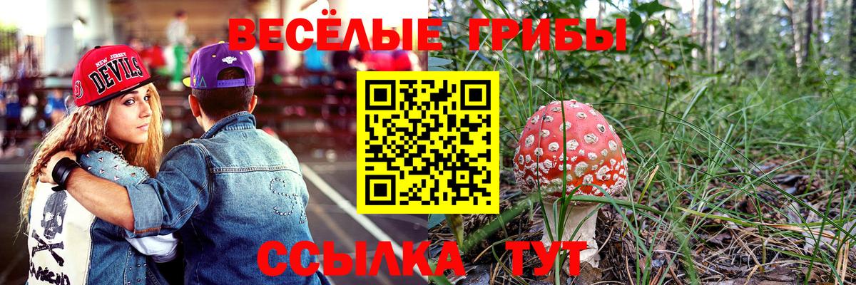 Верхняя Салда  Псилоцибиновые грибы MAGIC MUSHROOMS  Вход с VPN 